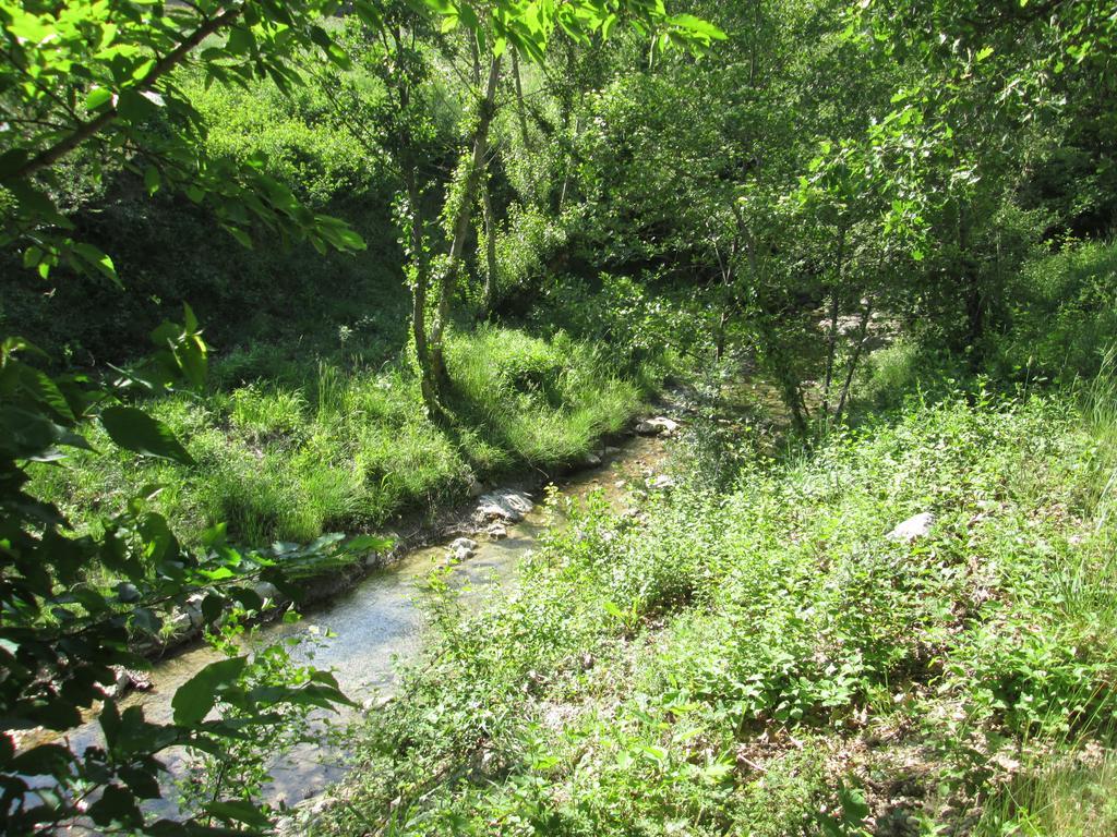 Le Chambron Appartement Condorcet Buitenkant foto